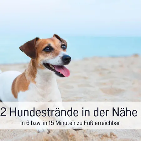 Hunde Ohne Aufpreis - Hagemeister - Auch Im Winter Toll! Sauna Im Haus - 6 Min Zum - 2 Ueberdachte Balkone Mit Strandkoerben Apartament *