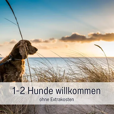 Apartment Hunde Ohne Aufpreis - Hagemeister - 6 Min Zum - Mit 2 Balkonen - Gratis Sauna&coworking Space Im Haus Sellin (Rugen)