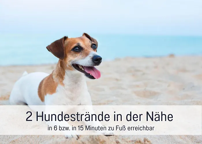 Hunde Ohne Aufpreis - Hagemeister - 6 Min Zum - Mit 2 Balkonen - Gratis Sauna&coworking Space Im Haus Apartment *