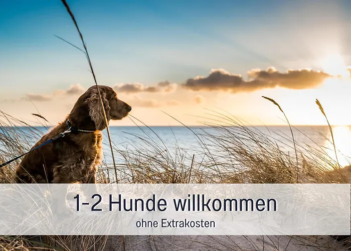 아파트 Hunde Ohne Aufpreis - Fewo Hagemeister Sellin - Sauna Im Haus - 6 Min Zum Strand - 2 Traumbalkone - Privatparkplatz Sellin (Rugen)